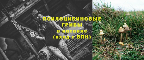 мдпв Михайлов