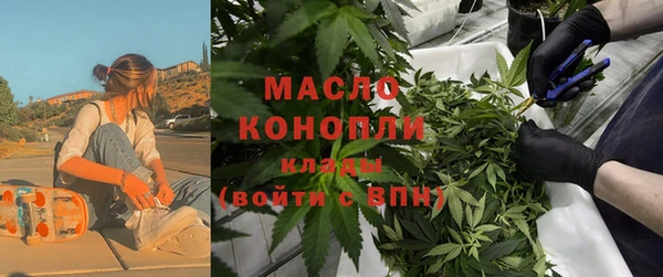 мдпв Михайлов